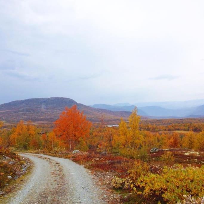 Fjellstova Storehorn Apartments Ulsak Bagian luar foto